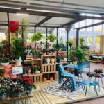 Responsable de magasin - Niort (79)