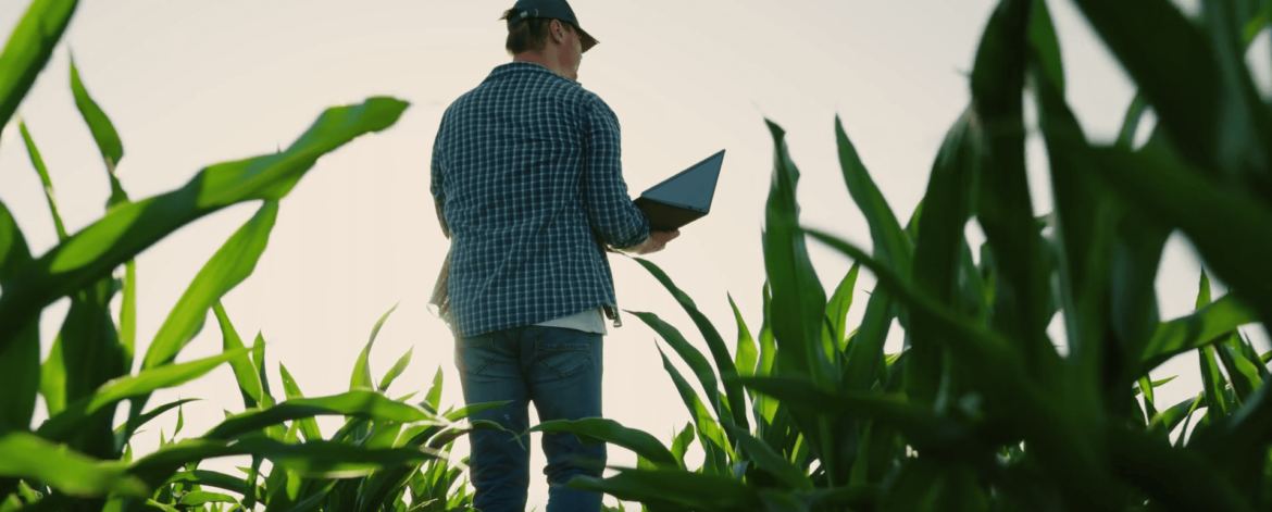 Image vidéo Homme avec son ordi