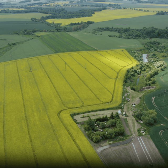 Image vidéo paysage