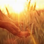 Responsable de Site - Saintes (17)