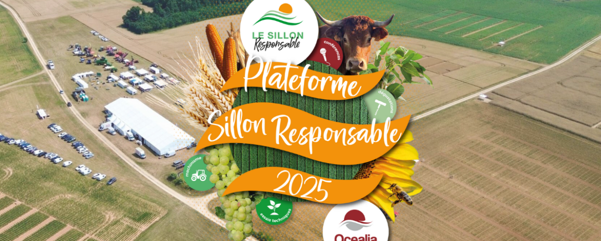 Plateforme Technique Sillon Responsable 2025 - Seconde édition