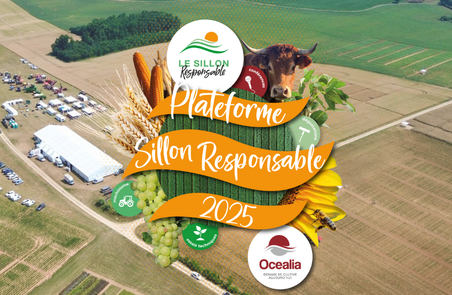 Plateforme Technique Sillon Responsable 2025 - Seconde édition