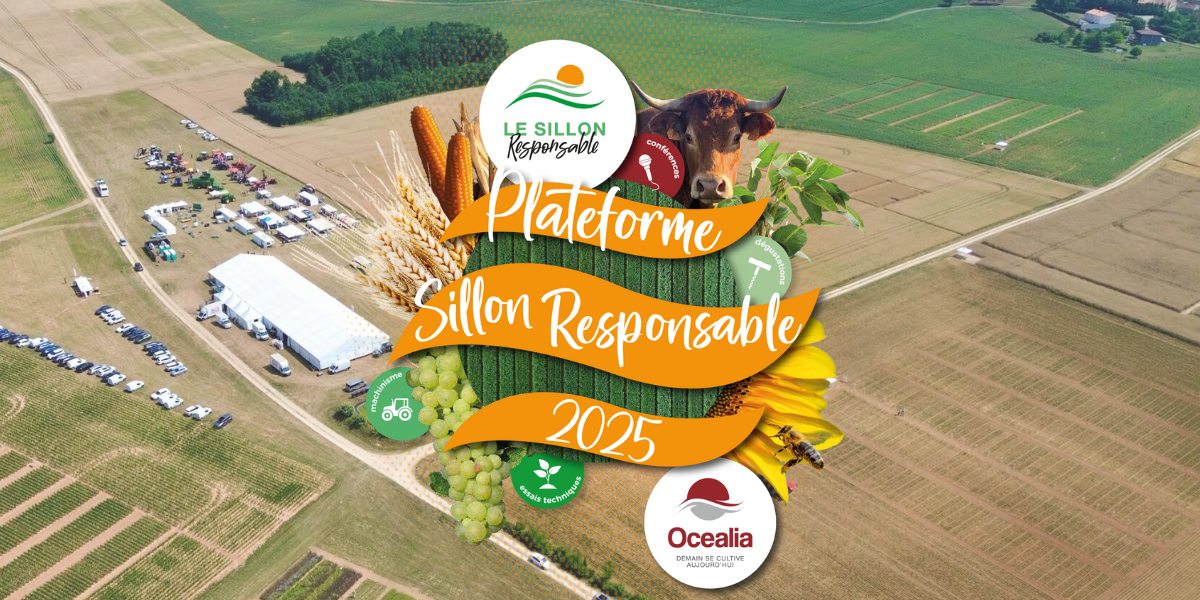 Plateforme Technique Sillon Responsable 2025 - Seconde édition