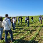 Technicien Outil Service - Civray (86)