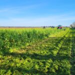 Responsable de Région - Saintes (17)