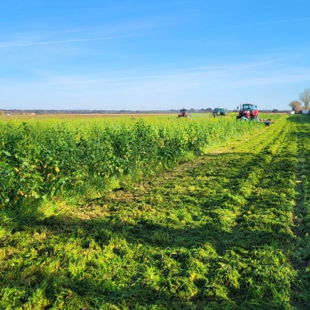 Océalia a réuni ses Groupes de Progrès à La Braudière pour une journée dédiée aux pratiques agro-environnementales, autour des couverts végétaux et de la gestion durable des haies.
