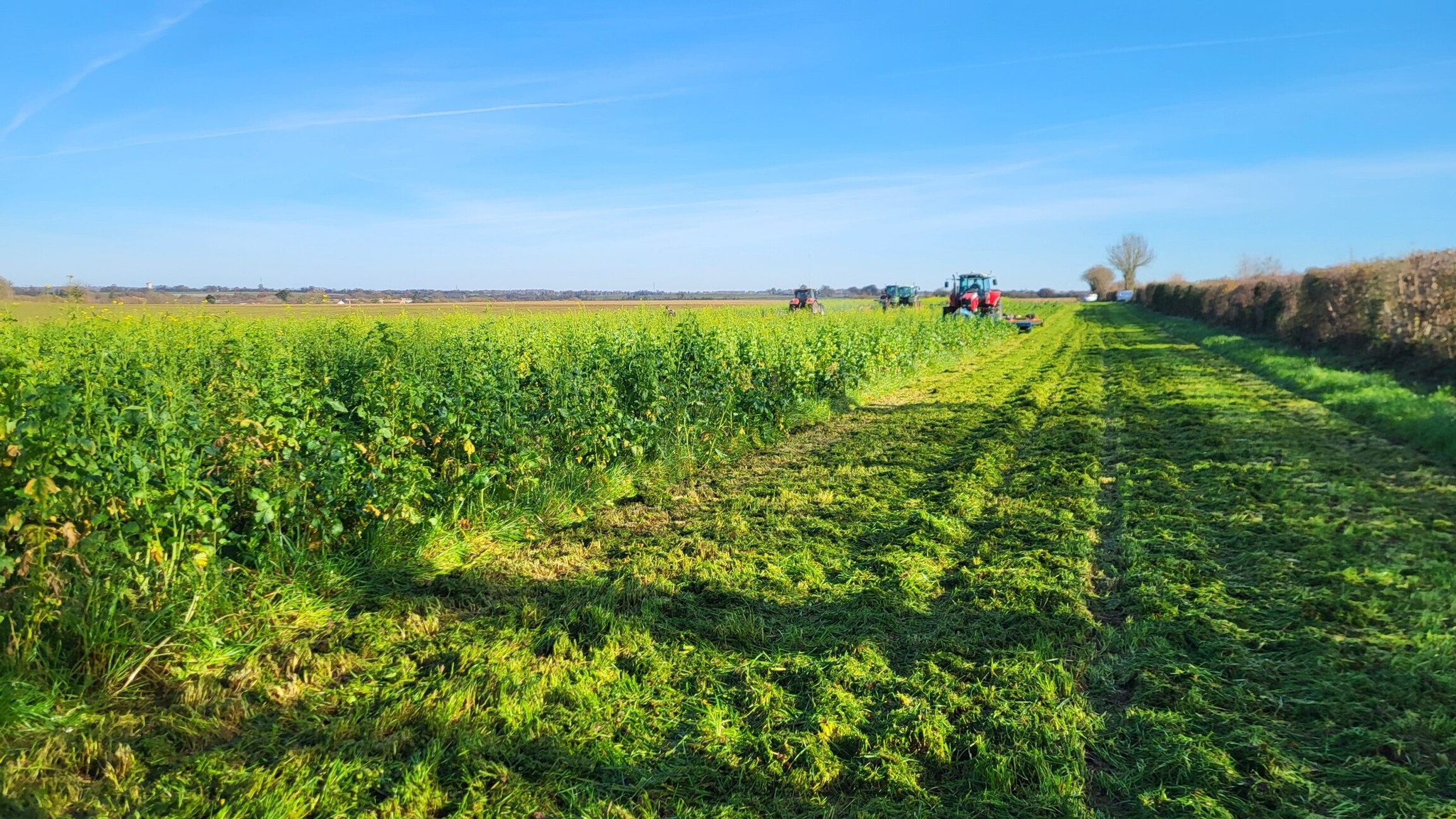 Océalia a réuni ses Groupes de Progrès à La Braudière pour une journée dédiée aux pratiques agro-environnementales, autour des couverts végétaux et de la gestion durable des haies.