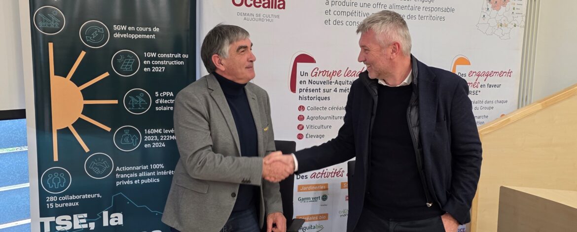 Océalia et TSE s’associent pour développer des projets agrivoltaïques