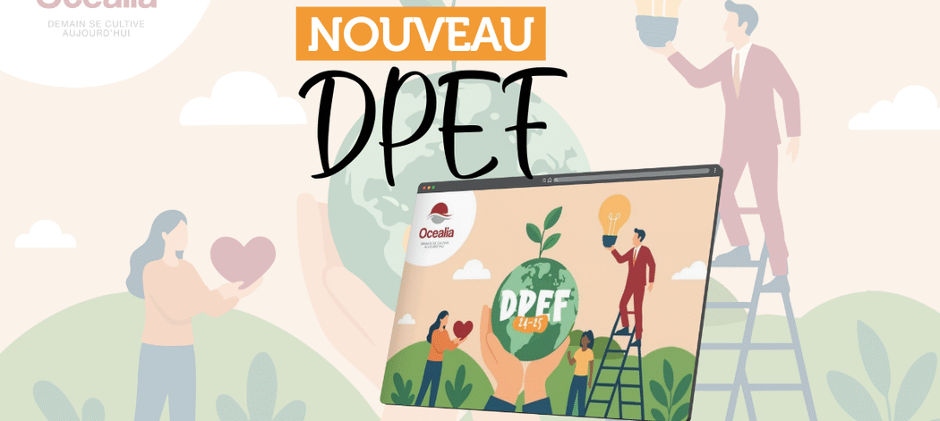 Site internet - Nouveau DPEF Nouveau DPEF 2024-2025
