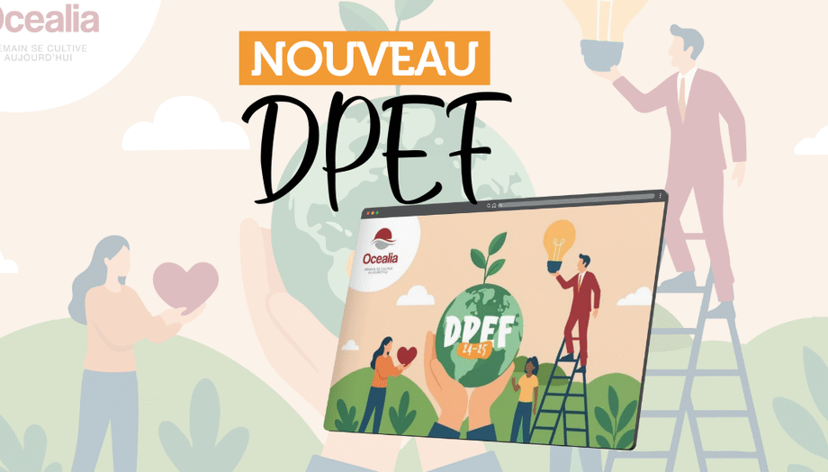 Nouveau DPEF 2024-2025