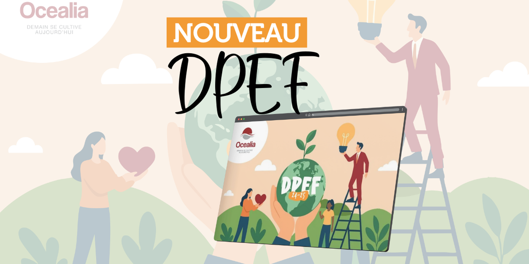 Nouveau DPEF 2024-2025