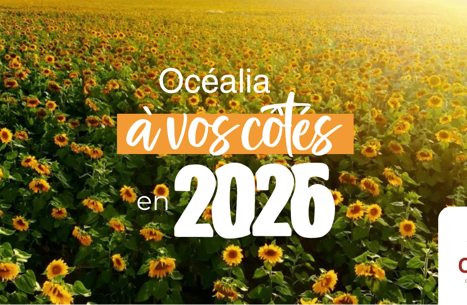 Voeux Océalia 2026