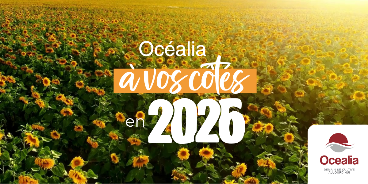 Voeux Océalia 2026
