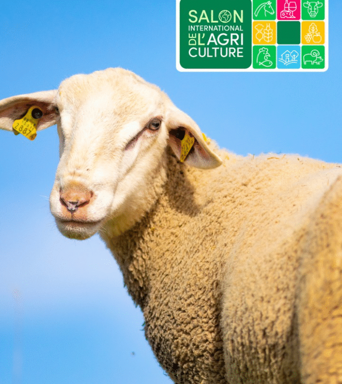 2026-02-23_12h10_12 2026-02-23_12h10_12