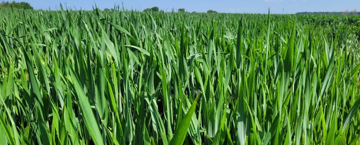 619633327_1554454676370865_496538649757183087_n