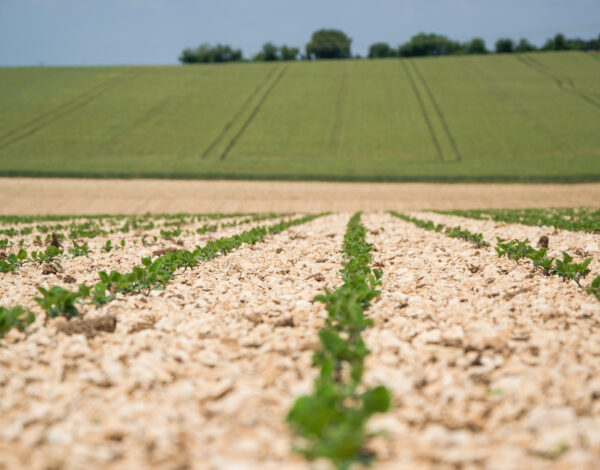 25606a4940284dc1916e9074096927f7