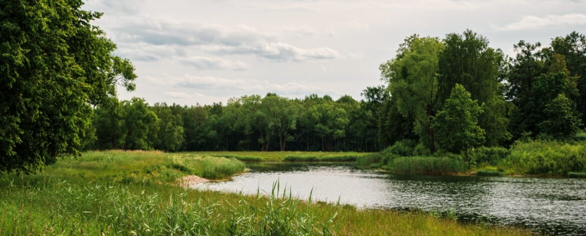 653712739_1607271744422491_9033815166232057510_n 653712739_1607271744422491_9033815166232057510_n