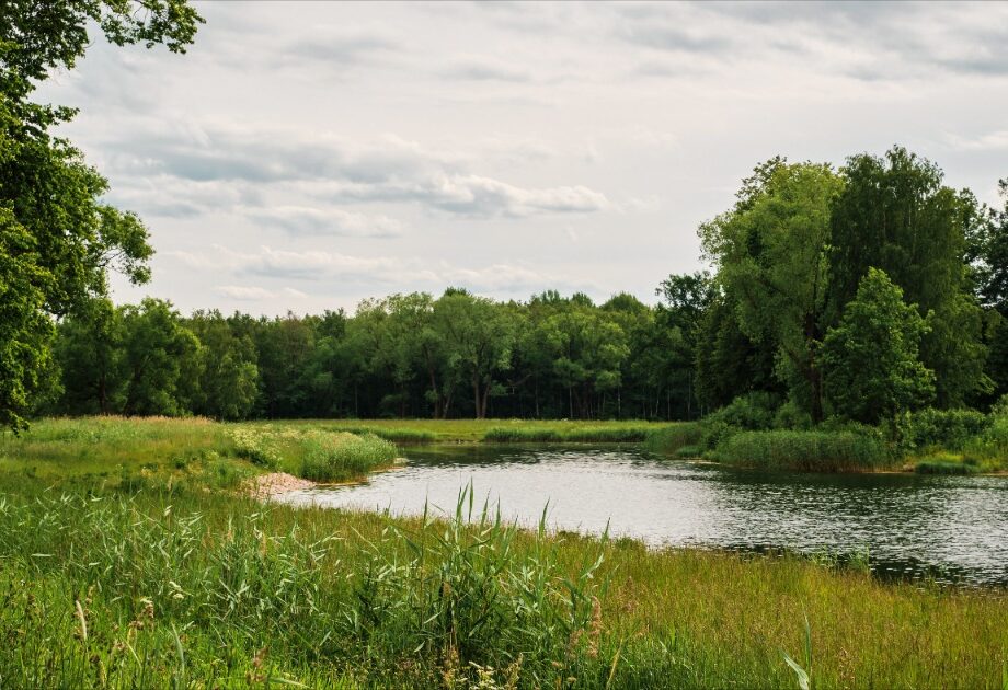 653712739_1607271744422491_9033815166232057510_n 653712739_1607271744422491_9033815166232057510_n