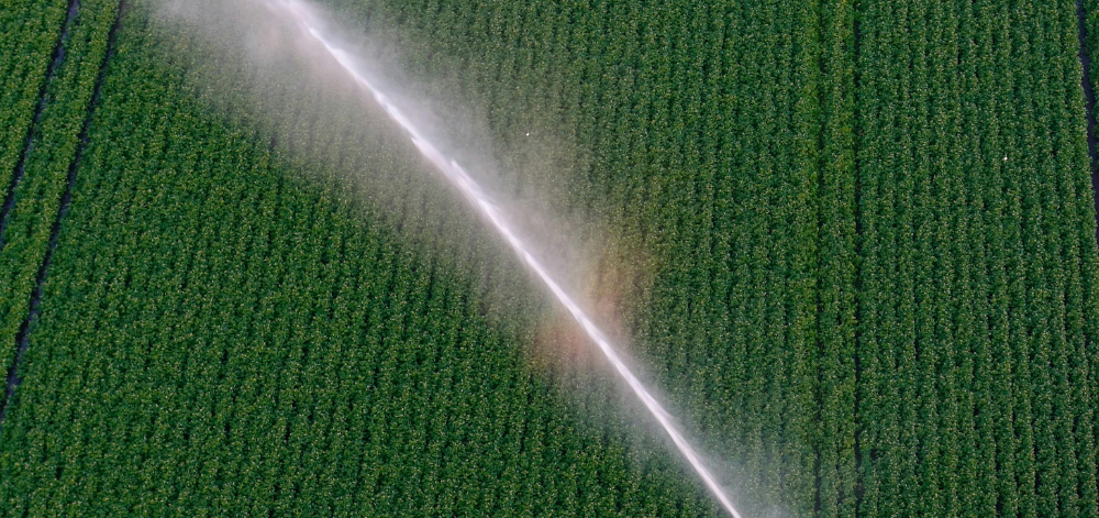 SR - Irrigation - POST 1
