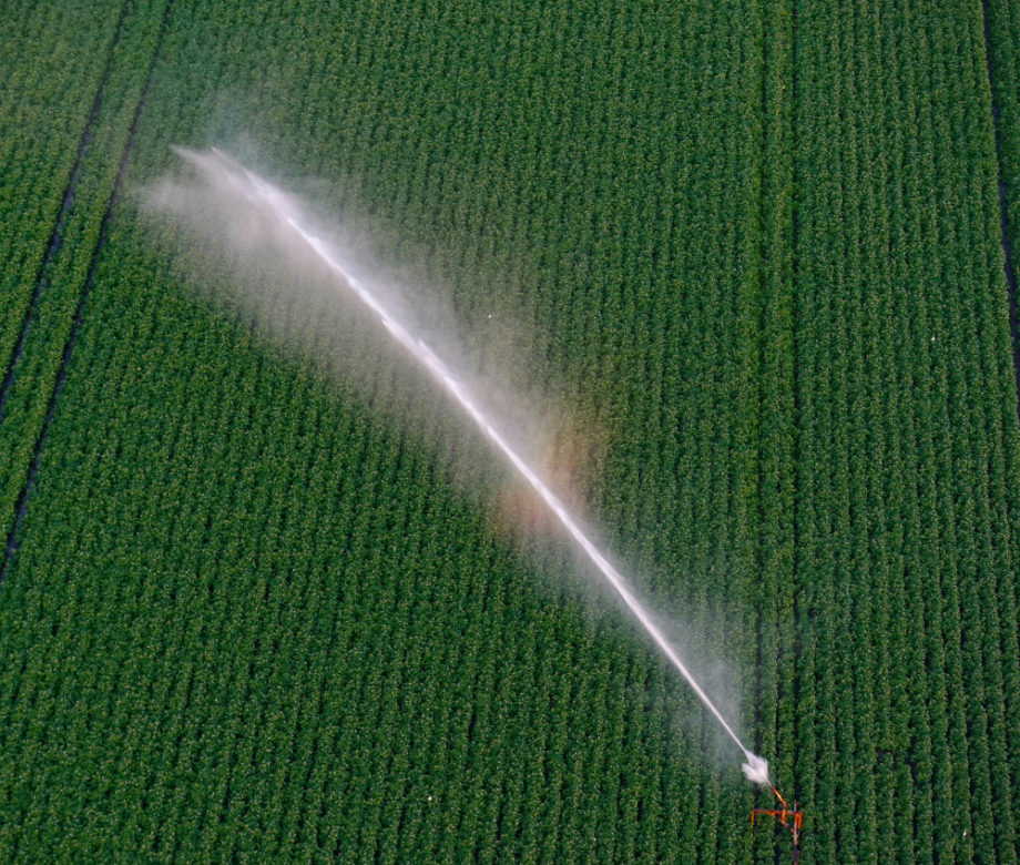 SR - Irrigation - POST 1 SR - Irrigation - POST 1