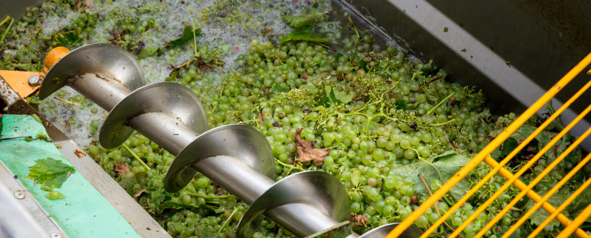 30 septembre 2014-charentesalliance-vendanges-037 30 septembre 2014-charentesalliance-vendanges-037