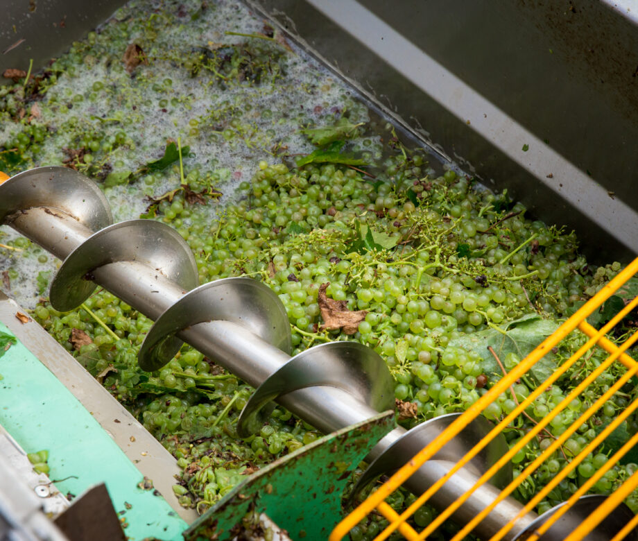 30 septembre 2014-charentesalliance-vendanges-037